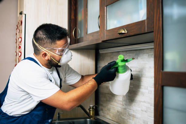 Best Pest Control for Homes  in Norris, TN