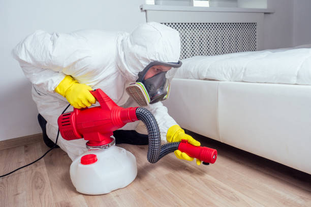 Best Flea Control Services  in Norris, TN