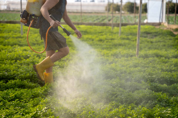 Best Exterminator Services  in Norris, TN