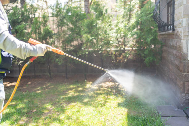 Best Pest Prevention Services  in Norris, TN