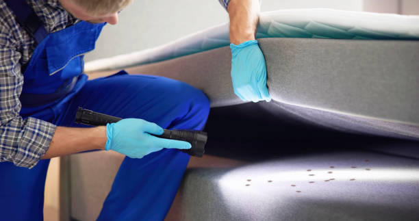 Best Emergency Pest Control  in Norris, TN