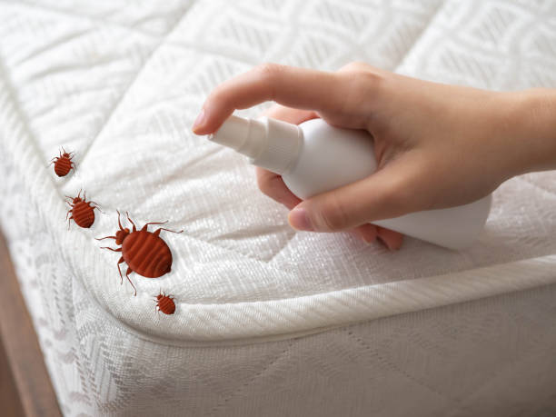 Best Emergency Pest Control  in Norris, TN